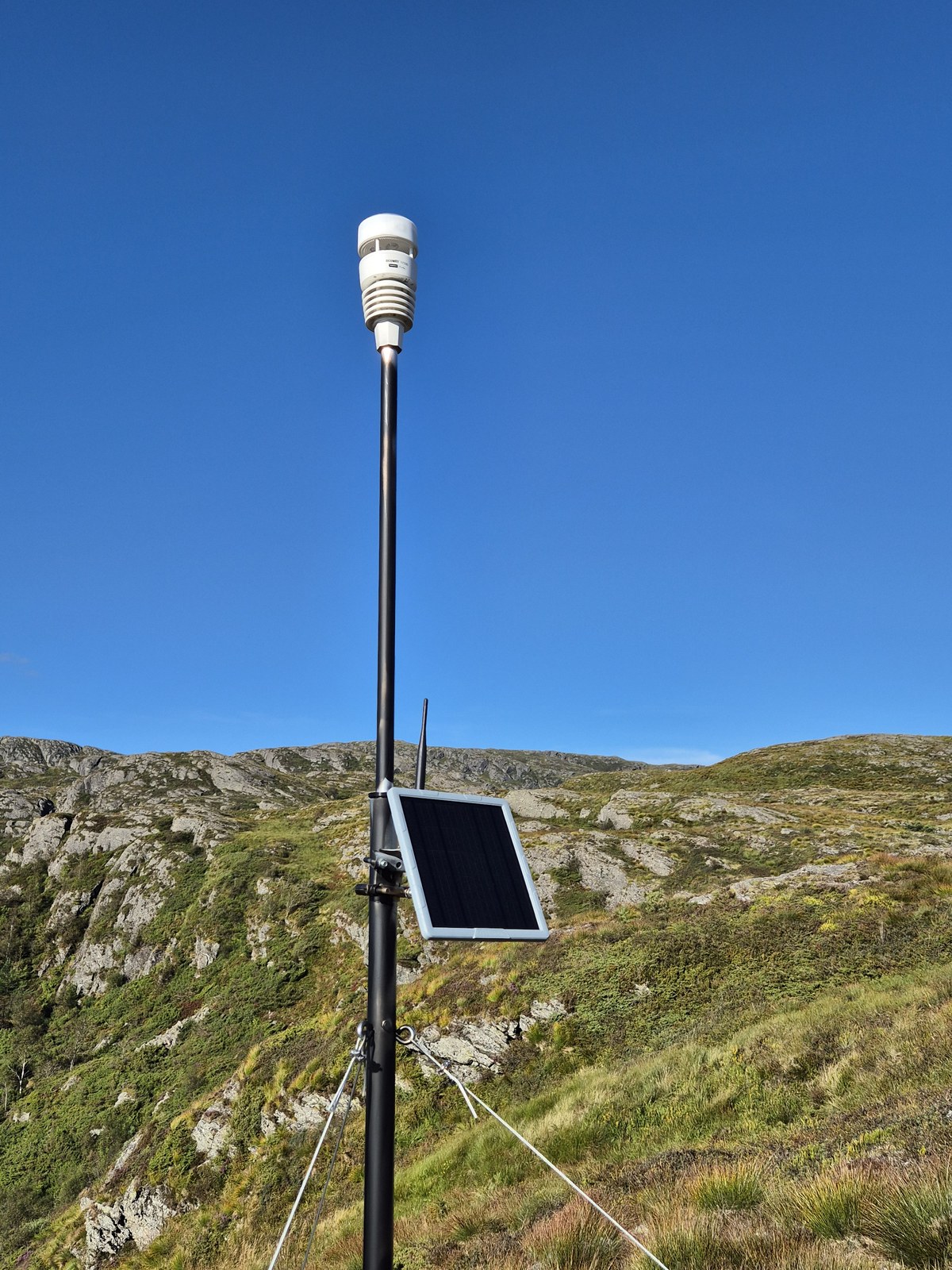 Værsensor og solarnode med solpanel på en bardunert mast i fjellet.